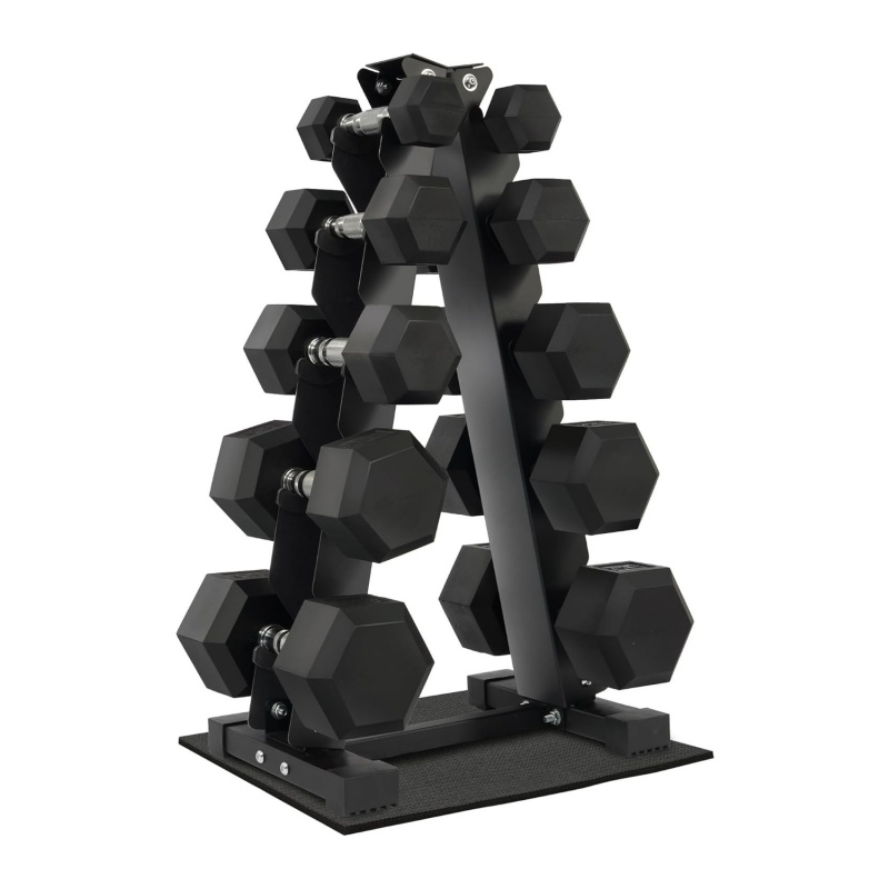 Home Gym Exercise Strength Tra - Dumbbell Set ulasan dan harga